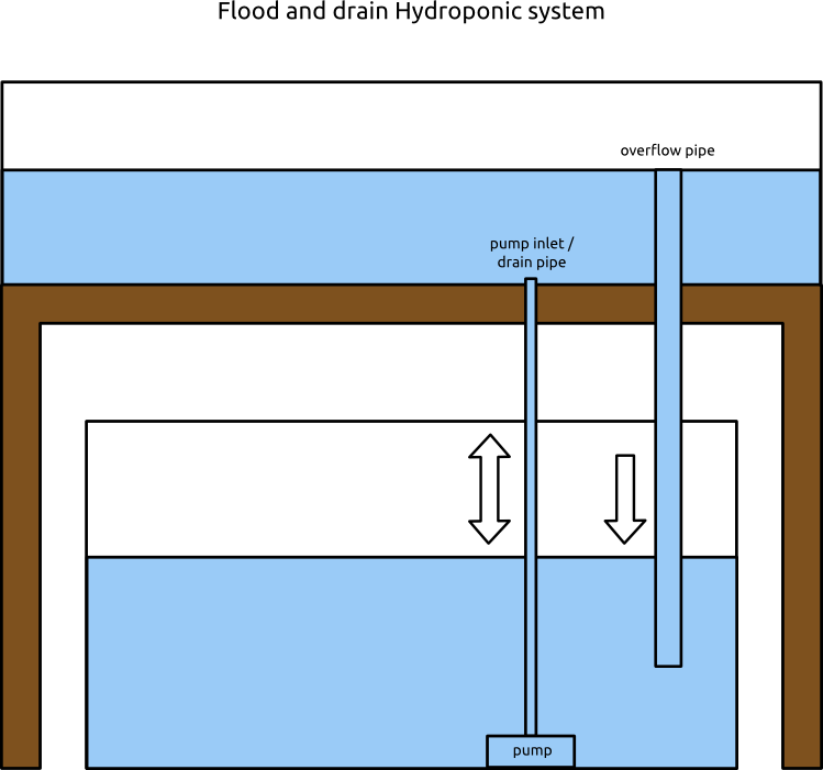 Flood and Drain Hydroponic System